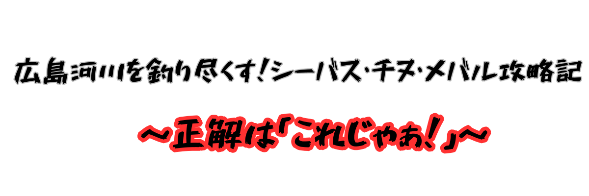広島河川を釣り尽くす！シーバス・チヌ・メバル攻略記　~正解は「これじゃぁ！」~