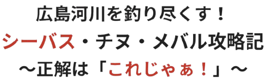 広島河川を釣り尽くす！シーバス・チヌ・メバル攻略記 〜正解は「これじゃぁ！」〜